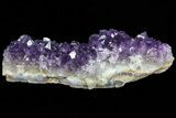 Dark Purple Amethyst Cluster - Uruguay #76865-1